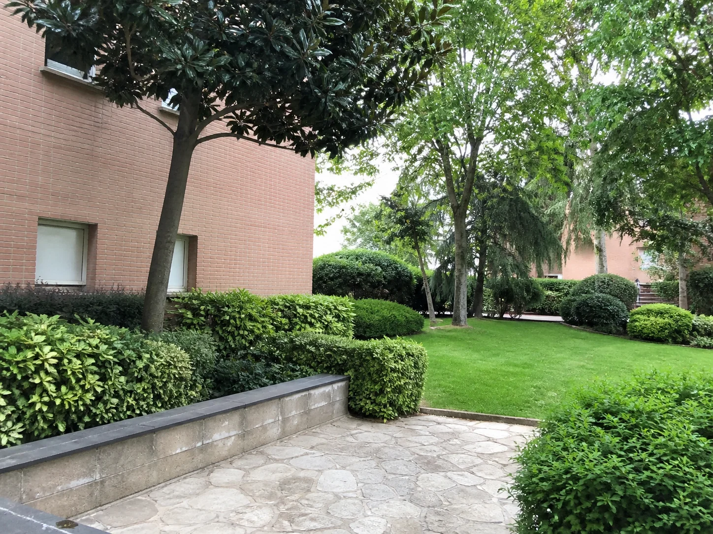 Jardín maduro para paisajismo Madrid